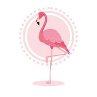 Detail Flamingo Free Vector Nomer 24