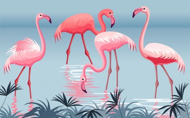 Detail Flamingo Free Vector Nomer 26