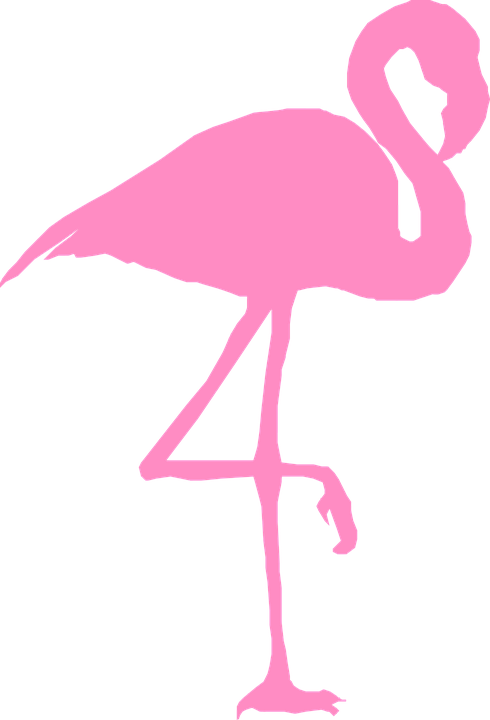 Detail Flamingo Free Vector Nomer 30