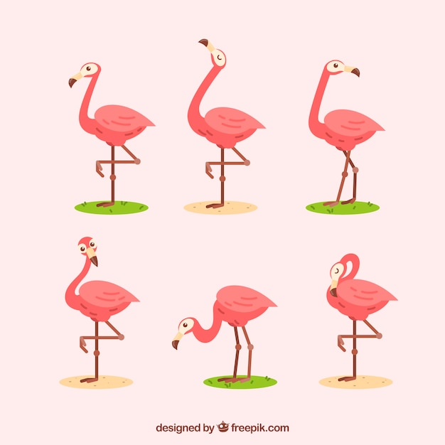 Detail Flamingo Free Vector Nomer 31