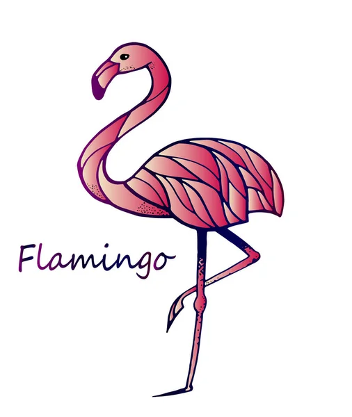 Detail Flamingo Free Vector Nomer 32