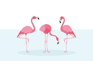 Detail Flamingo Free Vector Nomer 33