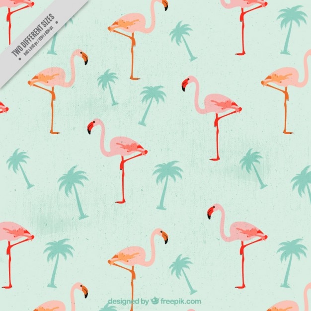 Detail Flamingo Free Vector Nomer 36