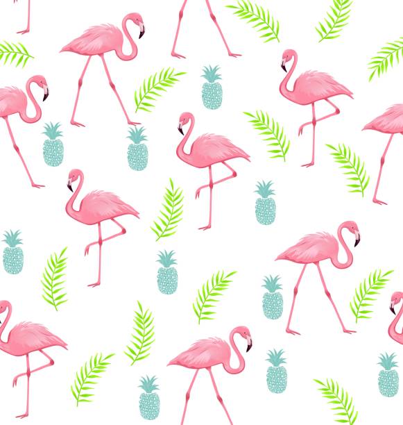 Detail Flamingo Free Vector Nomer 38