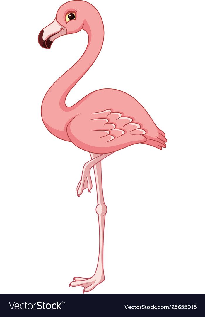 Detail Flamingo Free Vector Nomer 51