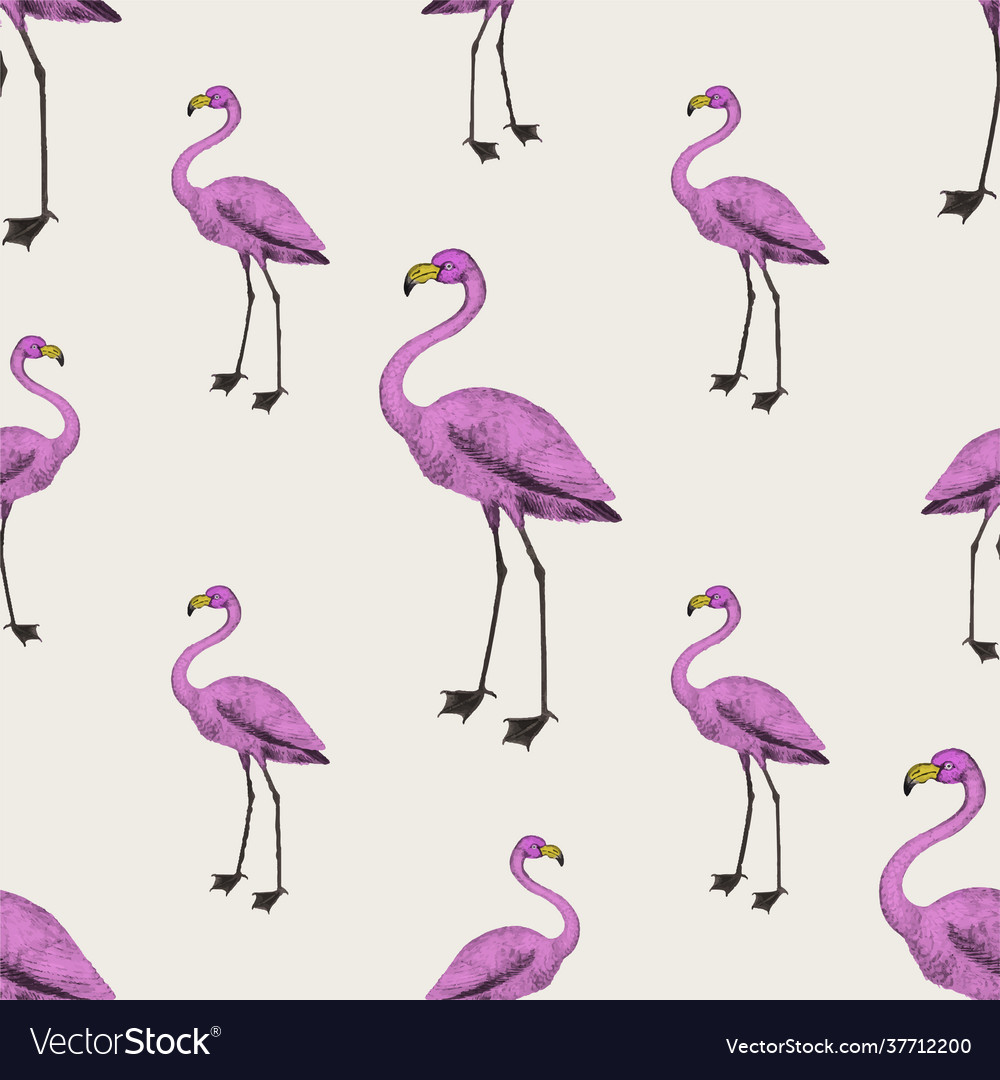 Detail Flamingo Free Vector Nomer 52