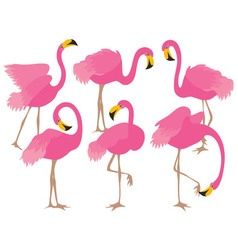 Detail Flamingo Free Vector Nomer 53