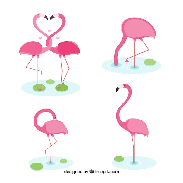 Detail Flamingo Free Vector Nomer 56