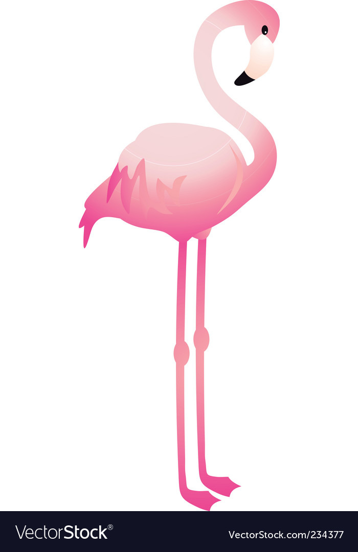 Detail Flamingo Free Vector Nomer 7