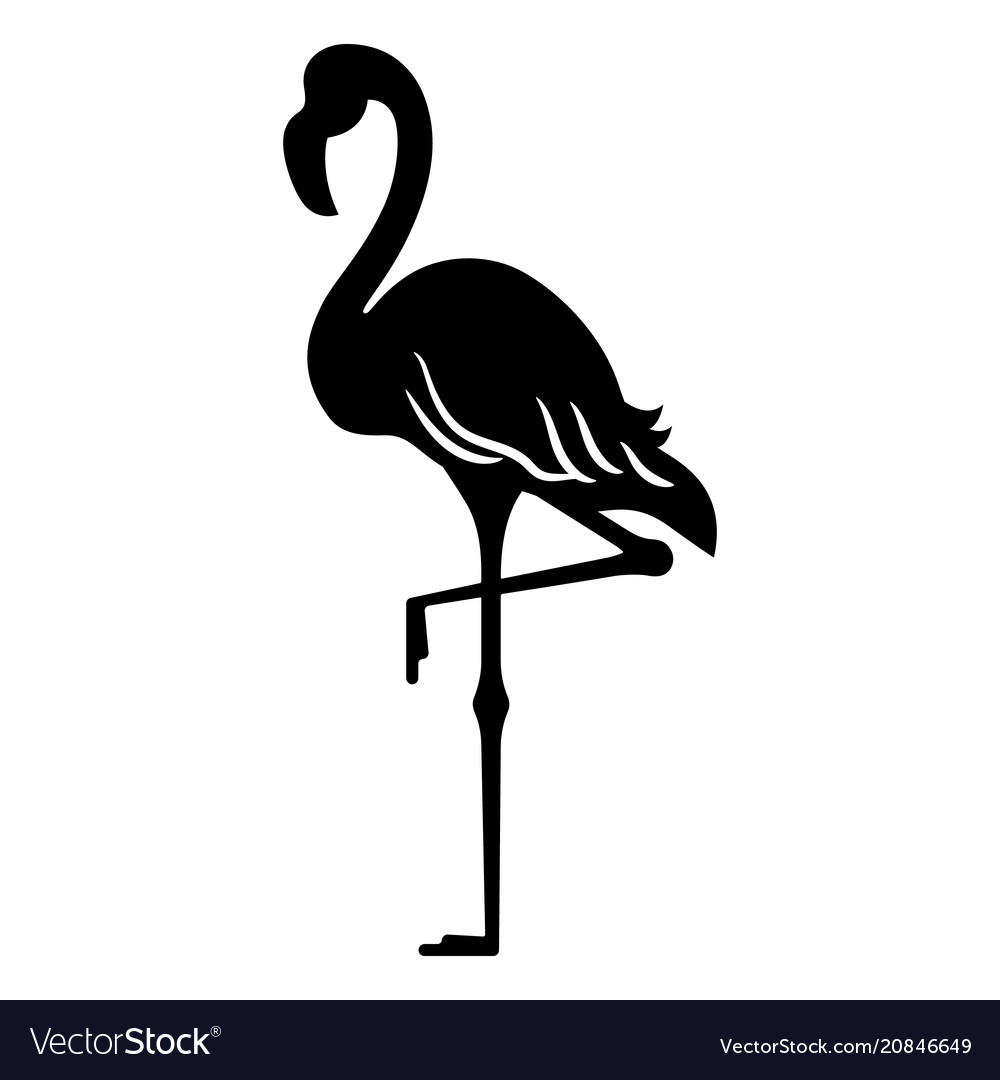 Detail Flamingo Free Vector Nomer 10