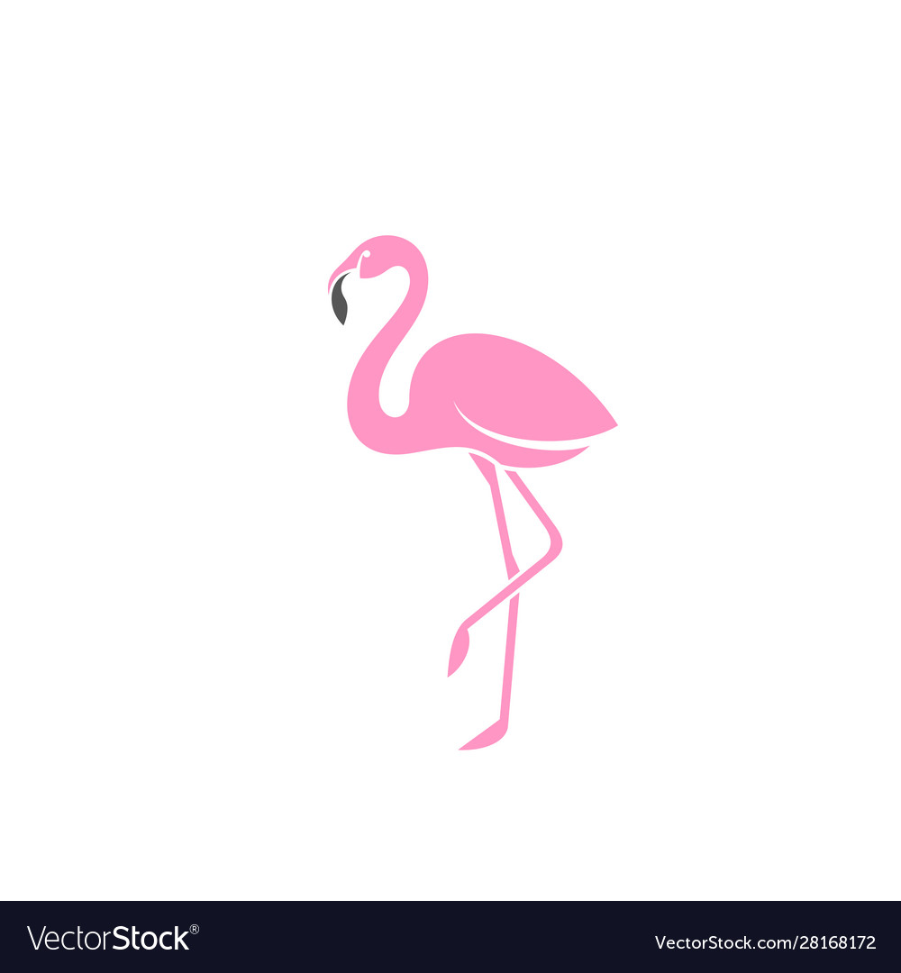 Detail Flamingo Gambar Nomer 27