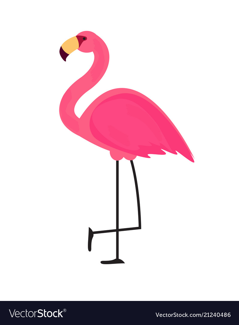 Detail Flamingo Icon Png Nomer 15