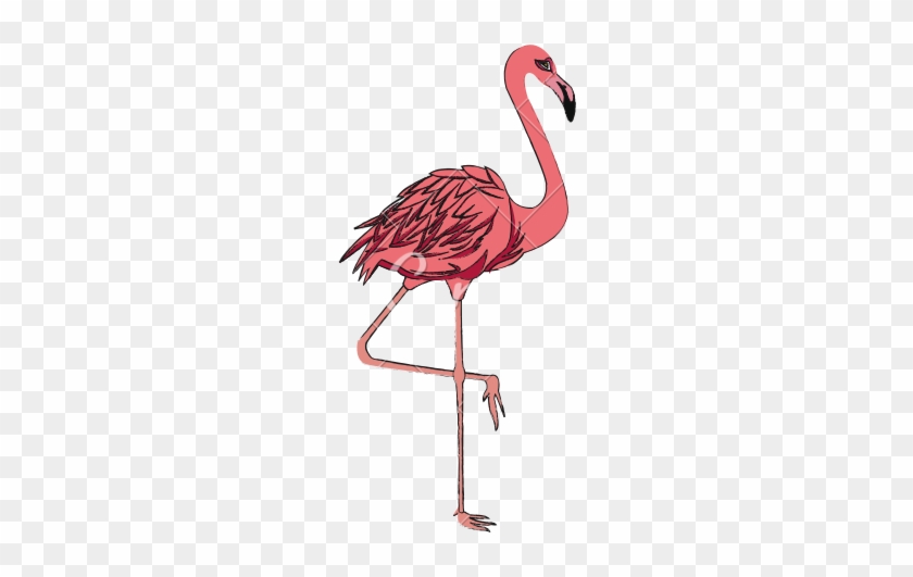 Detail Flamingo Icon Png Nomer 25