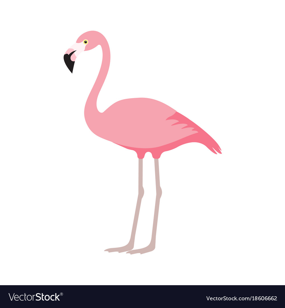 Detail Flamingo Icon Png Nomer 26