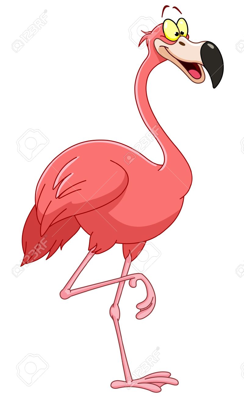Detail Flamingo Images Free Nomer 41