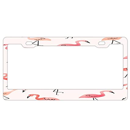 Detail Flamingo License Plate Frame Nomer 11