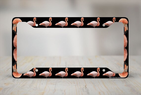 Detail Flamingo License Plate Frame Nomer 34