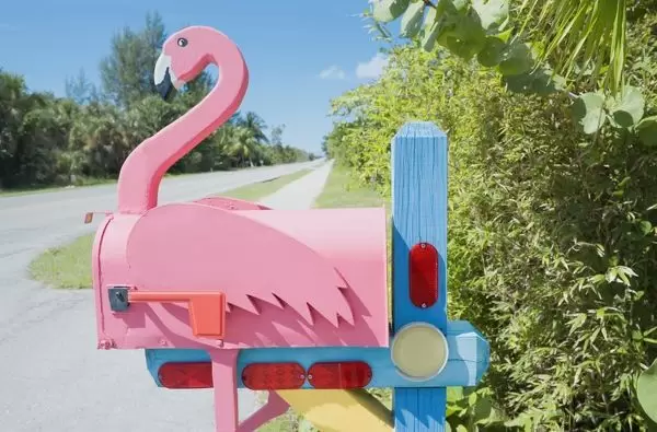 Detail Flamingo Mailbox Nomer 13