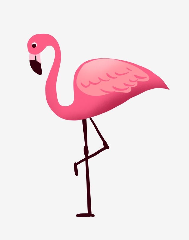 Detail Flamingo No Background Nomer 14