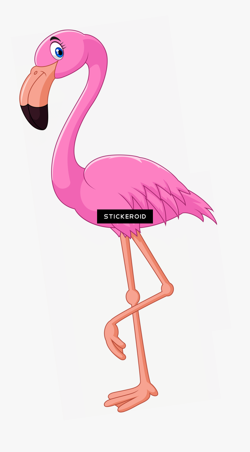 Detail Flamingo No Background Nomer 18