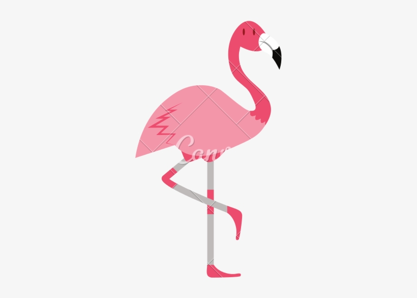 Detail Flamingo No Background Nomer 23