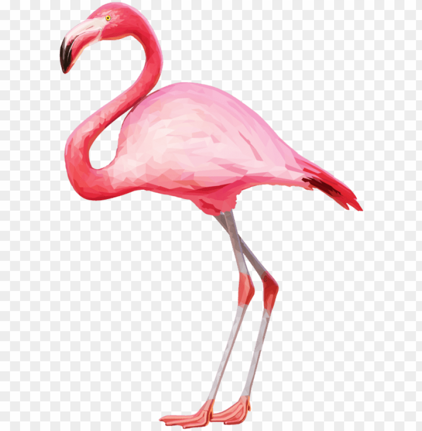Detail Flamingo No Background Nomer 5