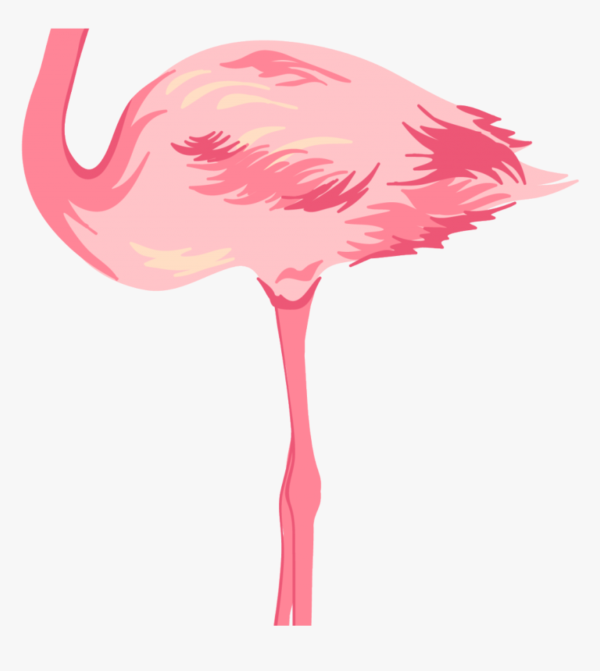 Detail Flamingo No Background Nomer 37