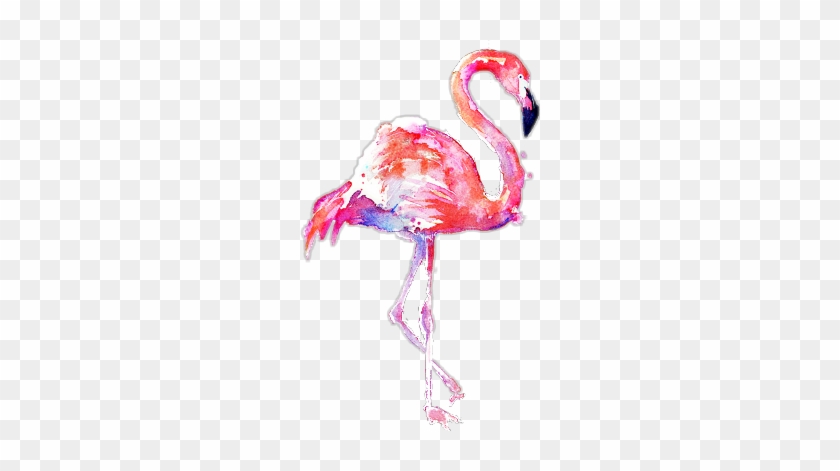 Detail Flamingo No Background Nomer 45