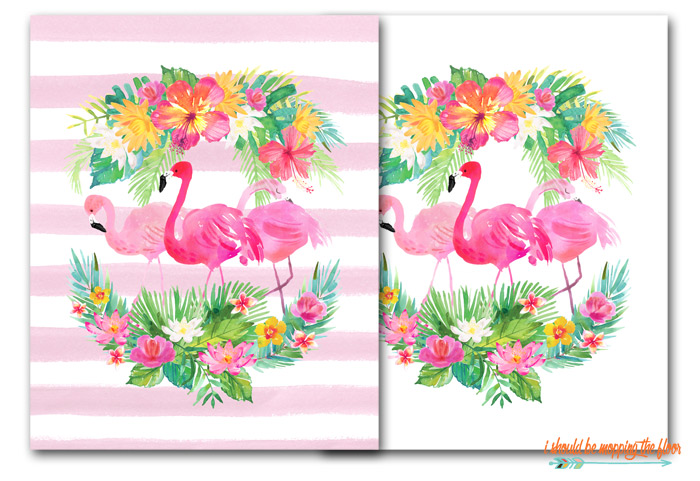 Detail Flamingo Photos Free Nomer 38