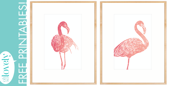 Detail Flamingo Photos Free Nomer 50