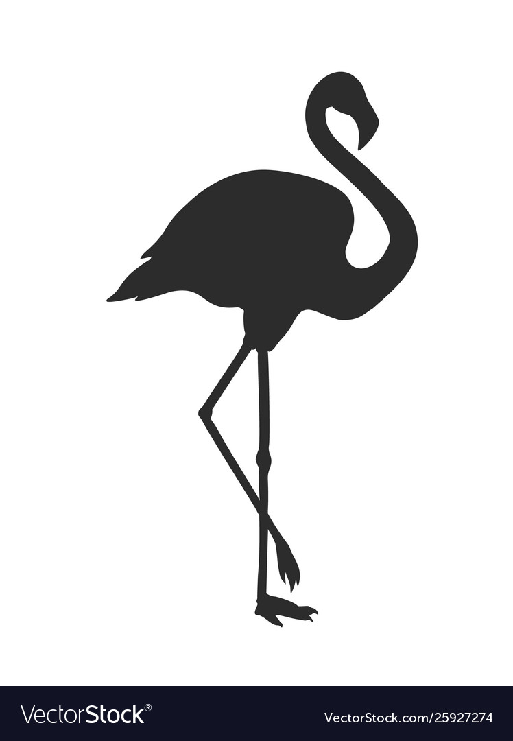Detail Flamingo Silhouette Clip Art Nomer 16