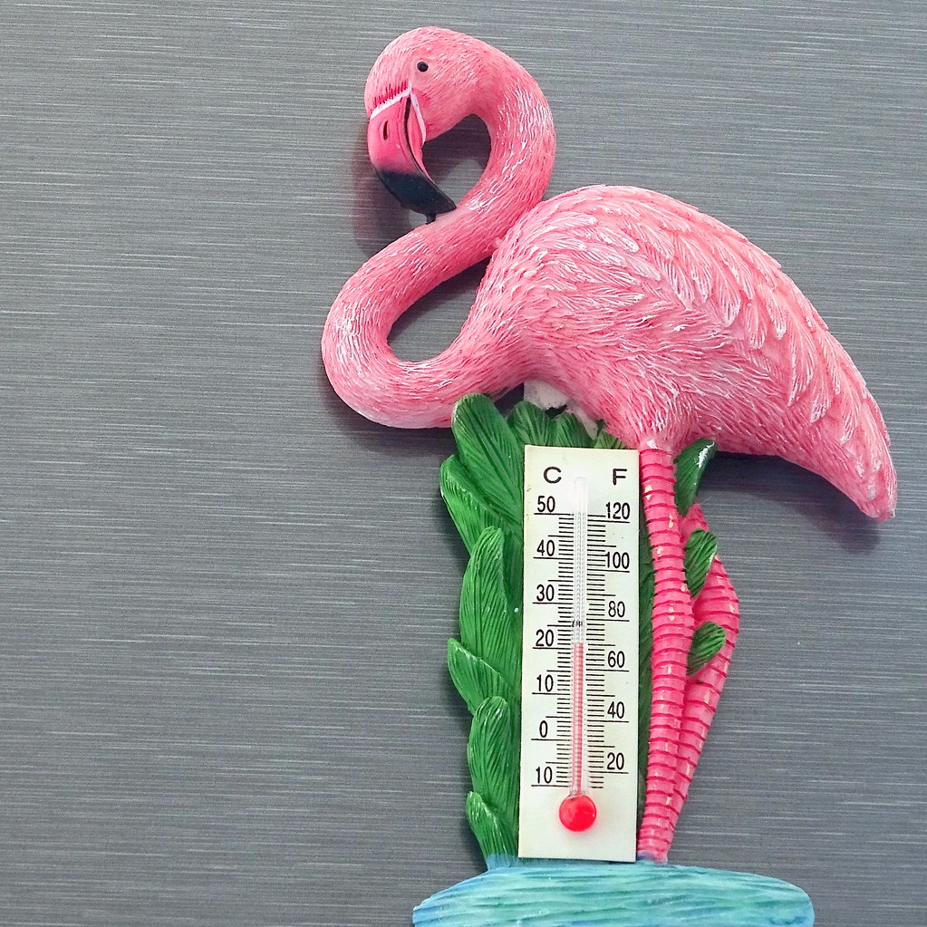 Detail Flamingo Thermometer Nomer 13