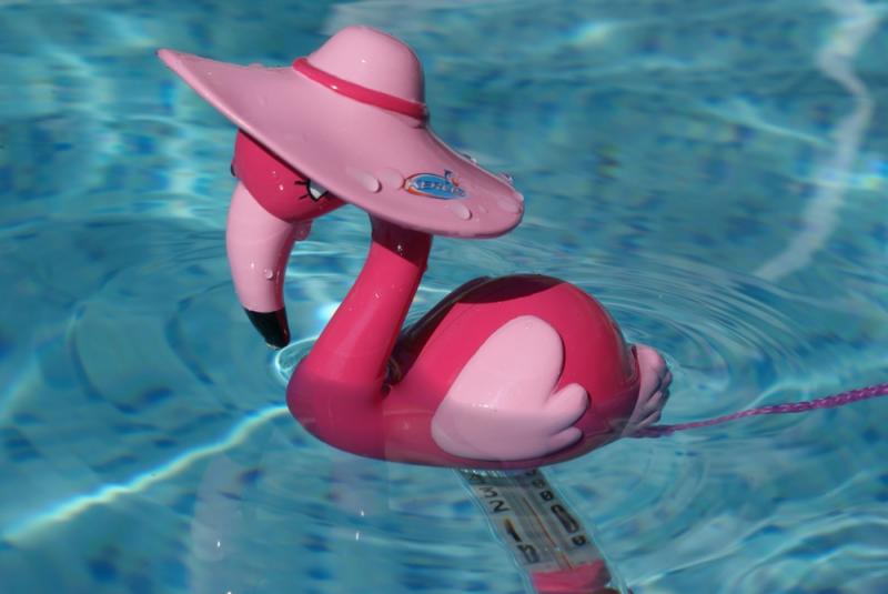 Detail Flamingo Thermometer Nomer 10