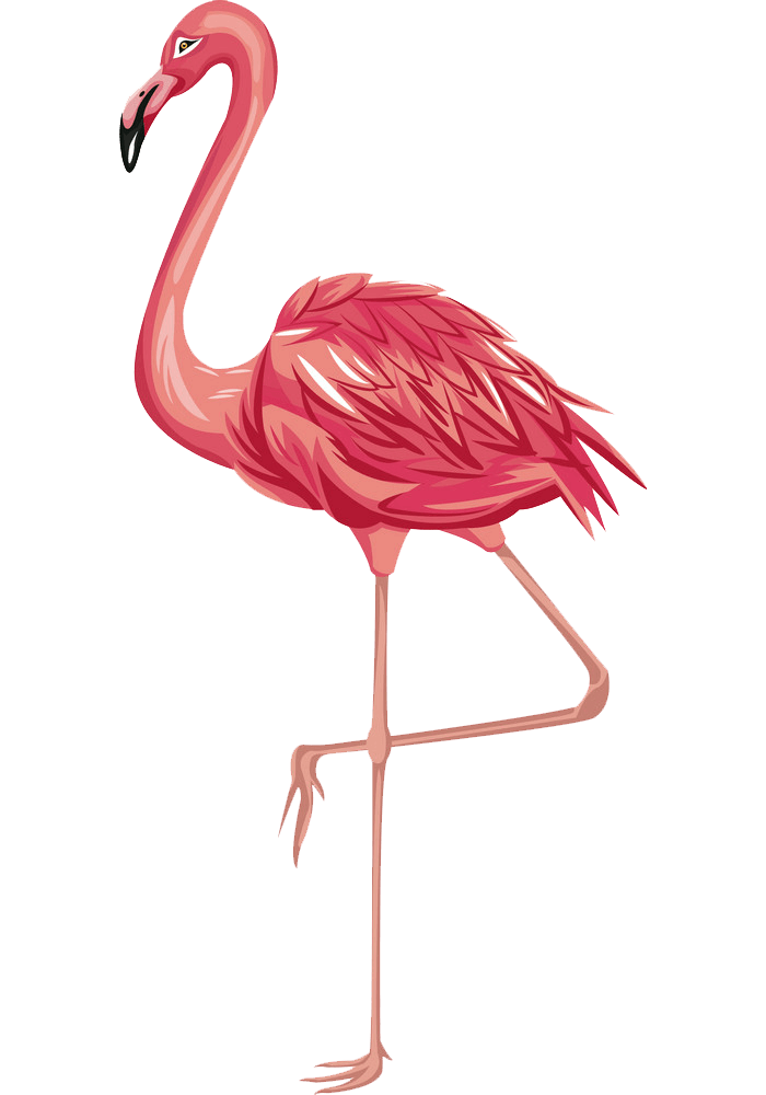Flamingo Transparent - KibrisPDR