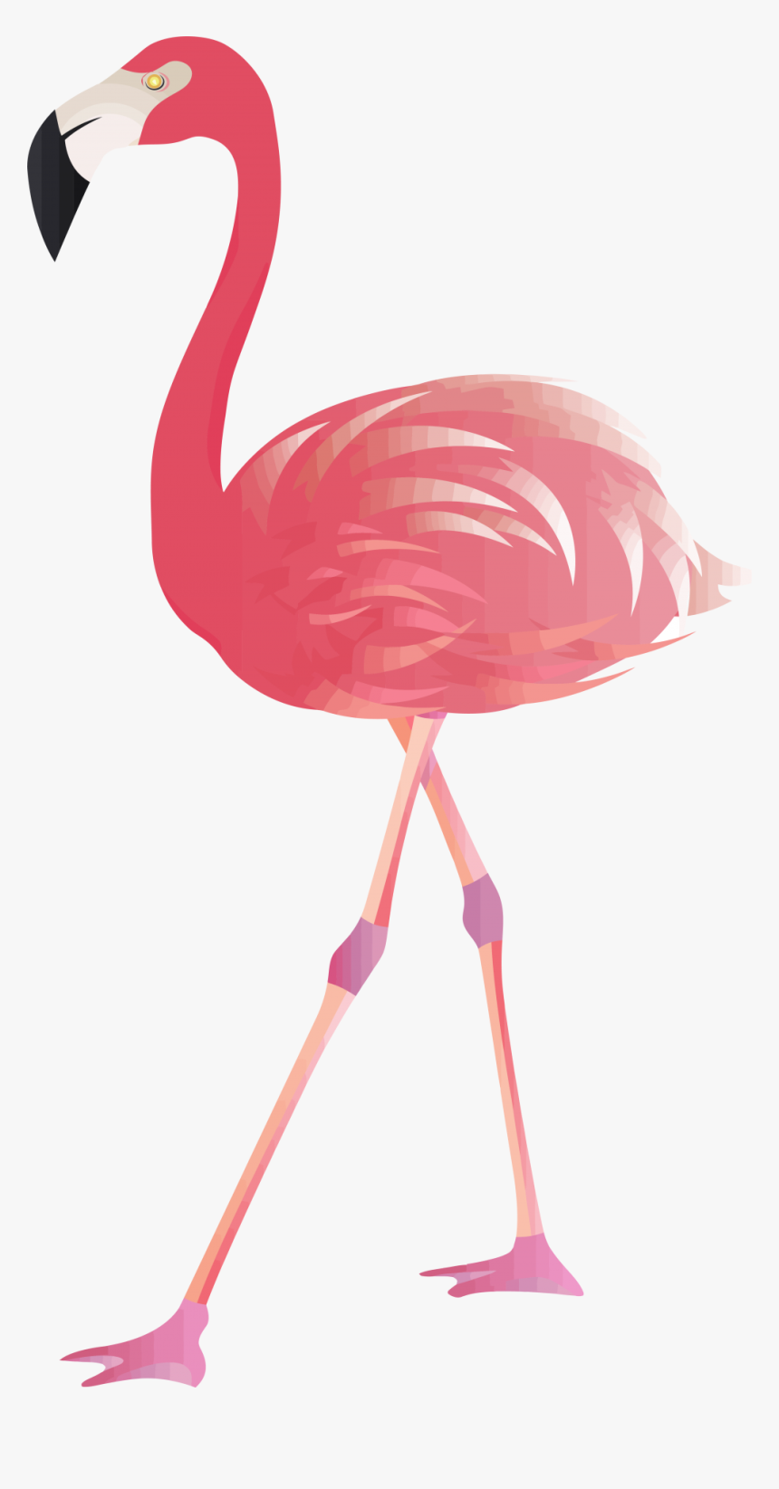 Detail Flamingo Transparent Nomer 9