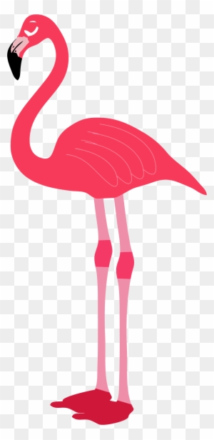 Detail Flamingo Transparent Nomer 10