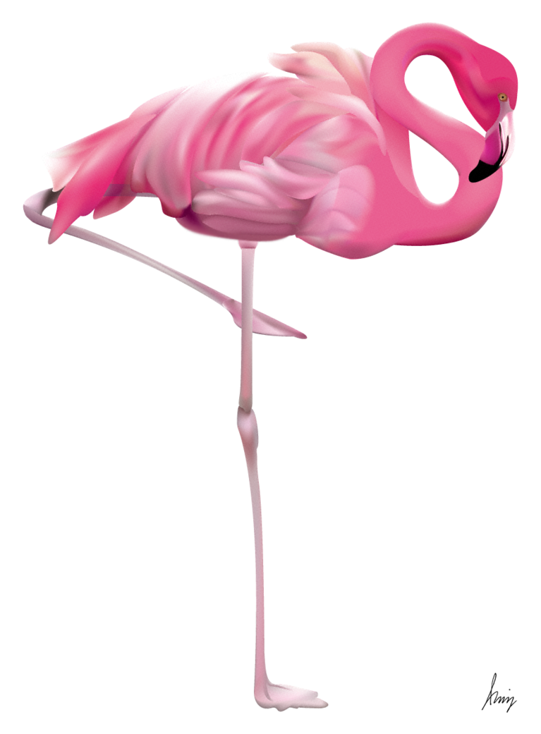 Detail Flamingo Transparent Nomer 21
