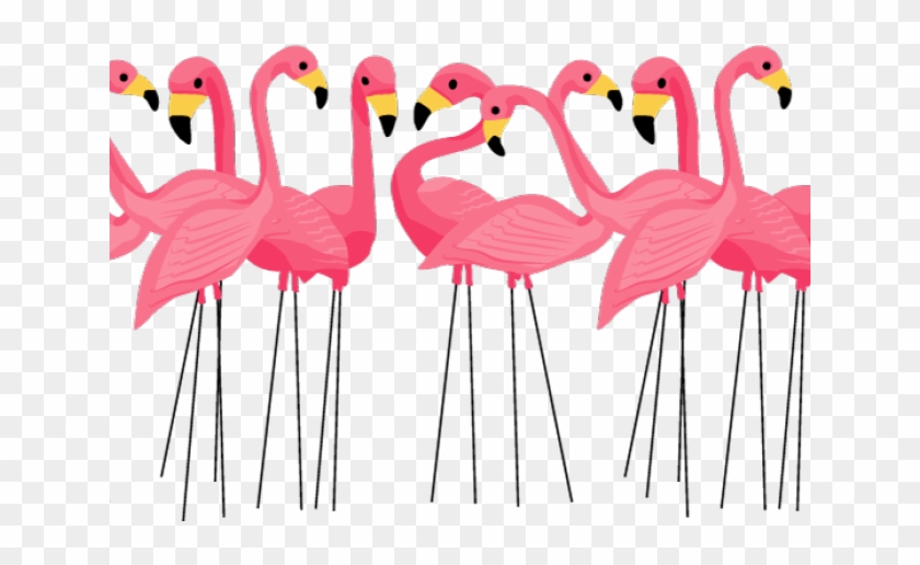 Detail Flamingo Transparent Nomer 23