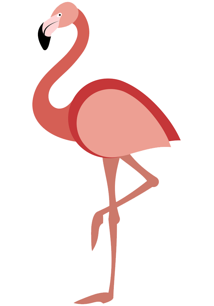 Detail Flamingo Transparent Nomer 24