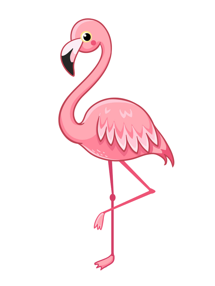 Detail Flamingo Transparent Nomer 26