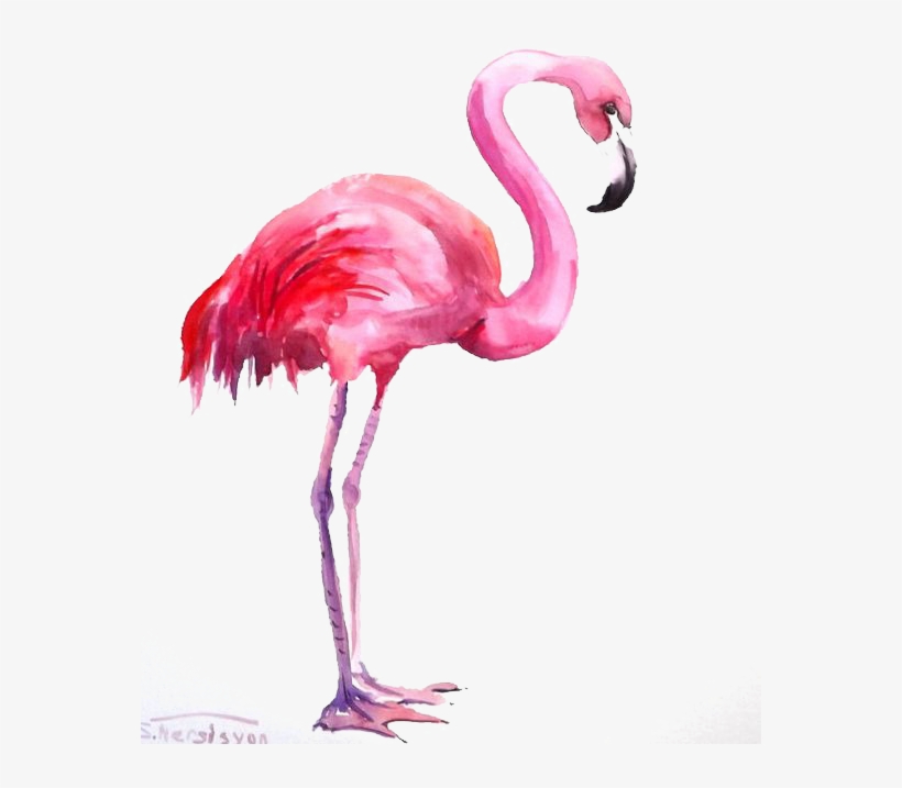 Detail Flamingo Transparent Nomer 27