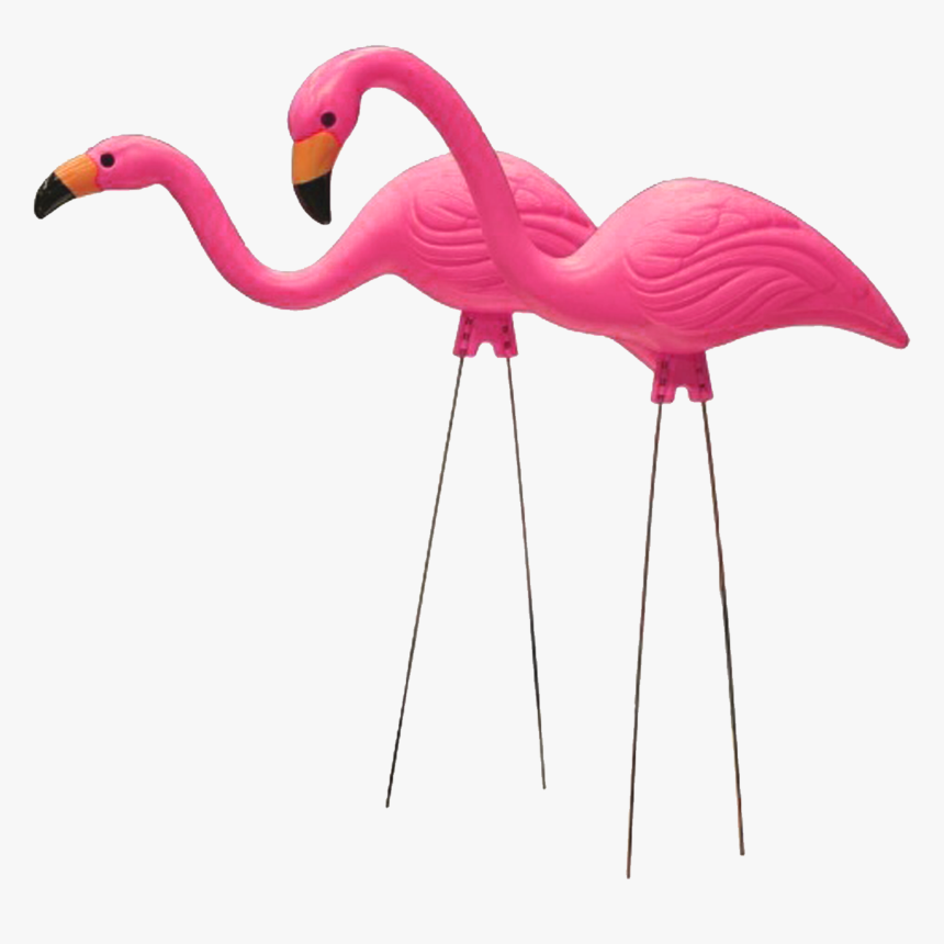 Detail Flamingo Transparent Nomer 28