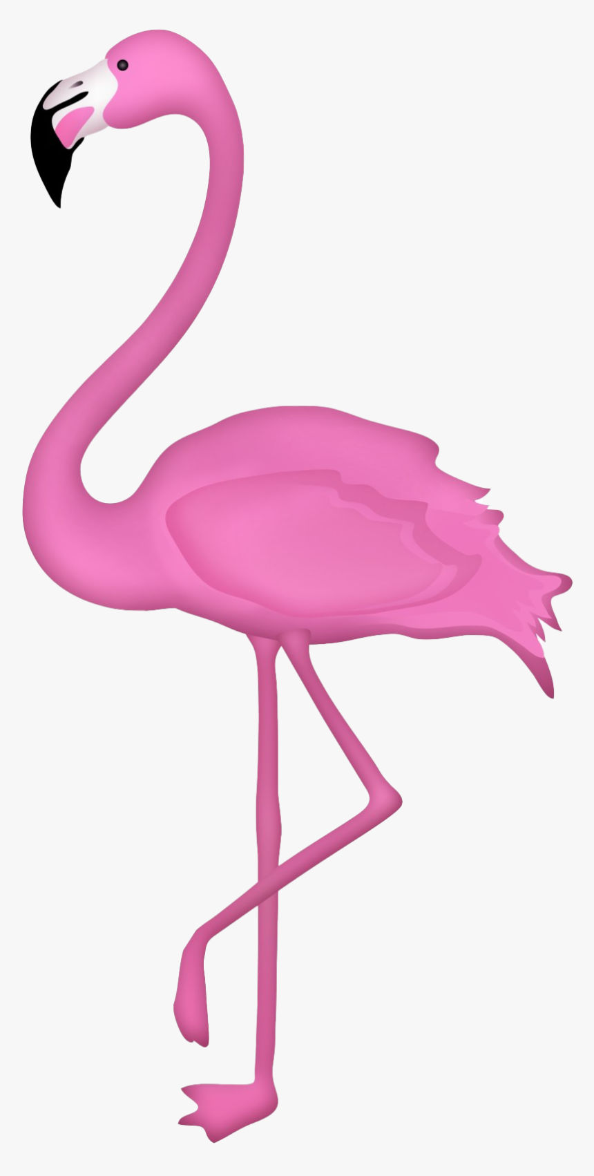 Detail Flamingo Transparent Nomer 4