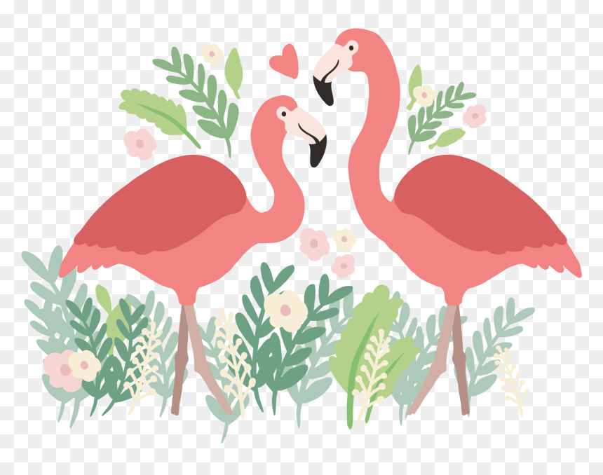Detail Flamingo Transparent Nomer 34