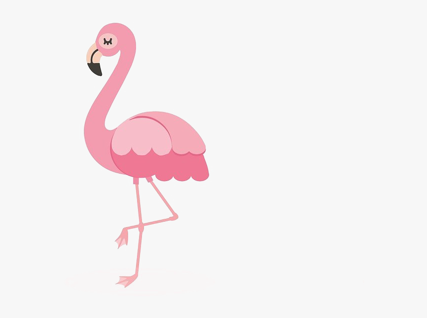 Detail Flamingo Transparent Nomer 35