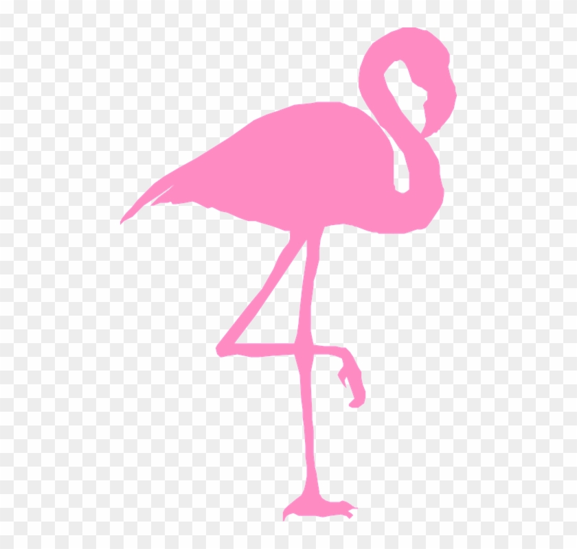 Detail Flamingo Transparent Nomer 36