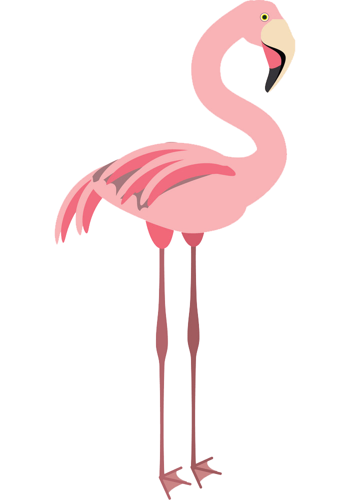 Detail Flamingo Transparent Nomer 39