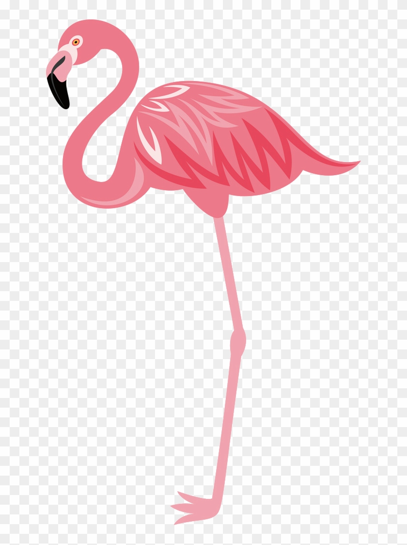 Detail Flamingo Transparent Nomer 46