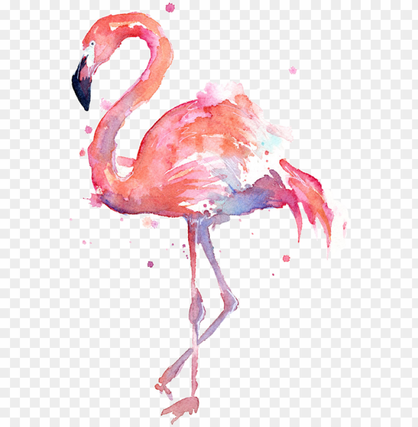 Detail Flamingo Transparent Nomer 49