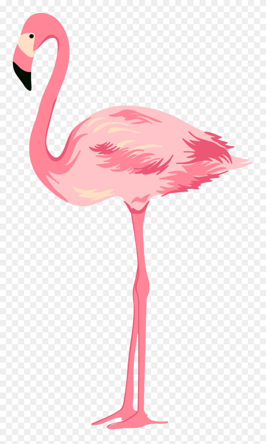 Detail Flamingo Transparent Nomer 6